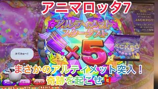 【メダルゲーム】4月4日のアニマロッタ7 プレー報告書 アルティメットJPC‼️仕留められるか？そして更にドリームがまさかの⁉️(アドアーズ)