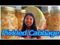 HOW TO MAKE HOME MADE PICKLED CABBAGE . BEST FOR APPETIZER