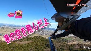 【ハンググライダー】　春の彦根を空から散策