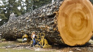 30 Fastest Automatic Firewood Processing Machine | Homemade Modern Wood Cutting Chainsaw Machines