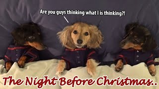Ep#7: Dachshund Mischief on the Night Before Christmas