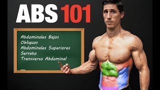 ABS 101 -¡Plan Paso por Paso Para un Six Pack! (TRABAJA TODAS LAS AREAS)