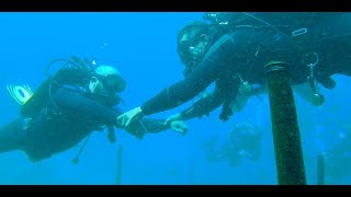 Getting Scuba Certified? Watch This First!!!