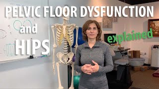 Pelvic floor dysfunction and hips explained by Irvine core pelvic floor therapy doctor