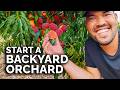 How to Start a Home Orchard (COMPLETE GUIDE)