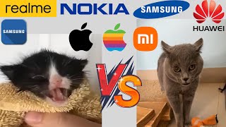 Kitten Meows VS Alugalug Cat but famous phone ringtones