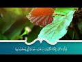 سور الرزق والبركة سورة يس الرحمن الواقعة الملك بصوت الشيخ سعد الغامدي