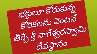 భక్తులూ కోరుకున్న కోరికలు వెంటనే తీర్చే శ్రీ నాగేశ్వరస్వామి దేవస్థానం