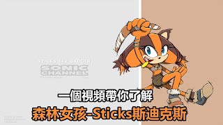 【音速百科】在Sonic Boom裡她可是女主角！一個視頻帶你了解Sticks斯迪克斯