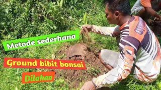 Metode sederhana | Ground | Lahan bonsai #kedukbonsai #keduktube #sacctvonlineklaten