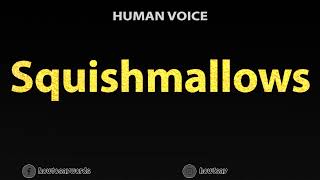 How To Pronounce Squishmallows