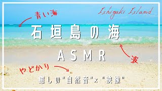 【ASMR】南国癒しBGM《自然音 × 映像》石垣島の青い海と波の音、ときどきヤドカリ