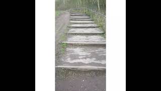 A walk to nature: Astbury Mere Lake, Congleton, Cheshire