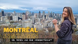 Vernichtendes Urteil bei der CAMPERSUCHE und Sightseeing in MONTRÉAL! Reisevlog #4