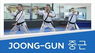 Joong-Gun 중근 | Blue Belt Taekwondo America Form