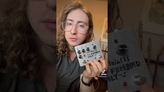 A pedal exclusively for playing FREEBIRD