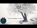 [Uplifting Trance] DJ A.H. & TerraNation - Frozen Air