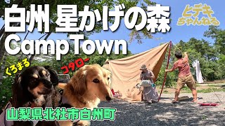 【犬とキャンプ】白州 星かげの森CampTown／山梨県北杜市白州町／新しくてオシャレなキャンプ場が平日貸切状態でワンコ達ものびのび