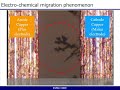 electro chemical migration phenomenon with narration espec