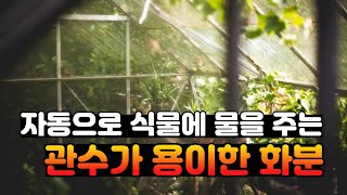 식물에 물을 자동으로 공급하는 관수가 용이한 화분 #자동물주기 #물주기타이머 #자동급수화분