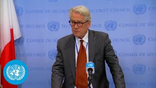 UN Middle East envoy on the Israel/Palestine crisis & other topics-Security Council Media Stakeout