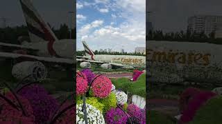 杜拜花A380飛機 Dubai Flower A380 #RealEstateDubai#RealEstateUAE#RealEstate#Investment#Dubai#UAE#A380#杜拜