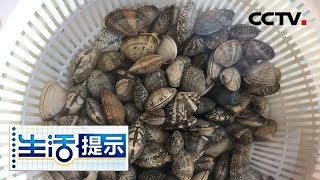 《生活提示》 水产快速吐沙有妙招 先摇晃再泡盐水效果好 20190123 | CCTV