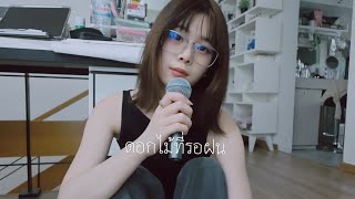 ดอกไม้ที่รอฝน - cover by Krista