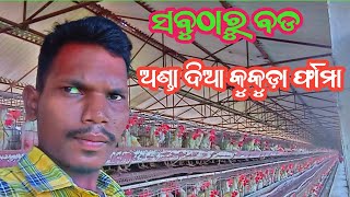 ଲେଅର କୁକୁଡ଼ା ଫାର୍ମ || ଅଣ୍ଡା ଦିଆ କୁକୁଡ଼ା ଫାର୍ମ || Start Layer Poultry Farming in Odisha || Egg Farm