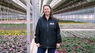 PETITTI | A Behind-the-Scenes look at Casa Verde Greenhouse - 2021