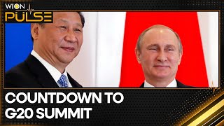 G20 summit 2023: Putin and Xi to skip G20 in India | WION Pulse