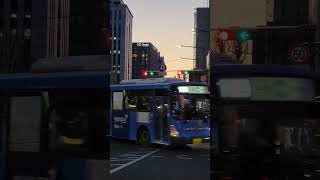 Traffic Sounds in Downtown Seoul #shorts