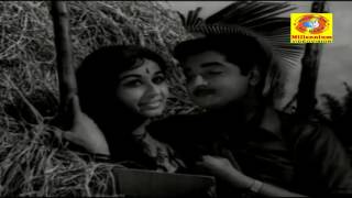 Chenpavizha Chundil| Malayalam Movie Song|   Nazhikakkallu   |  | P. Jayachandran |   Kanu Ghosh |