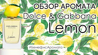 Обзор и отзывы об аромате Dolce \u0026 Gabbana Lemon от Духи.рф | Бенефис аромата