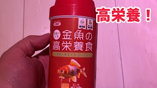 【金魚商品紹介】高栄養な金魚のエサ【イトスイさん】