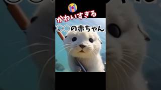 つぶらな瞳がたまらない心温まる癒し。 #おもしろ動物動画 #かわいい動物動画 #カワウソ赤ちゃん