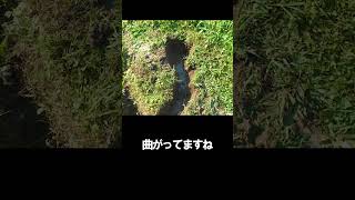 田んぼの水漏れ　地中の穴をたどる