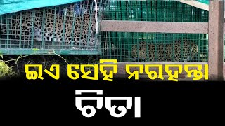 ଯନ୍ତାରେ  ନରହନ୍ତା ଚିତା | Odisha Reporter