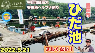 深緑の管理池でヘラブナに会おう【ひだ池】【ヘラブナ釣り】【トーベエ釣三昧】【管理釣場】【へらぶな釣り】