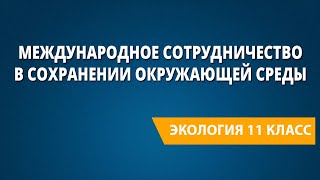 Международное сотрудничество в сохранении окружающей среды