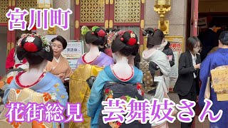 2024年12月4日 京都祇園 芸舞妓さんが鑑賞する花街総見 Geilo and Mailo 【4K】花街総見/宮川町