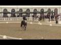 ecco fei european championships 2013 herning para dressage day 1 highlights