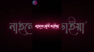 কবি বলেছেন যেখানে দেখবি মাইয়া🤣লাইন মারবি জাইয়া_ভাগ্যে থাকলে হবি gf নাহলে হবি ভাইয়া phany status 🤣🤣