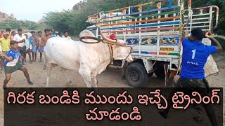 హాలహర్వి ఈరన్న ఎద్దులను గిరక బండి కి ముందు ఇచ్చే ట్రైనింగ్ చూడండి#super training very powerfull Bull