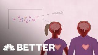 Your Brain On Love | Better | NBC News