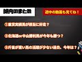 【函館記念2024】小回りの印象通りに、やっぱり適性が問われるのか…今週こそは研究を活かしたい！サヴォーナ、ホウオウビスケッツらは過去の好走馬たちに似てる？似てない？【競馬予想】