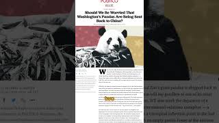 WHY China is Taking the Pandas Back