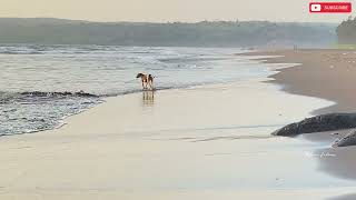 Gavkhadi beach ratnagiri | गावखडी समुद्र किनारा |cleanest beach in Maharashtra.