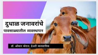 दुधाळ जनावरांचे पावसाळ्यातले व्यवस्थापन  Management of Dairy animals in Rainy season Dr Onkar Thorat