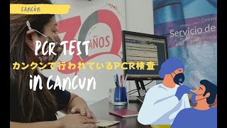 PCR検査 in カンクン